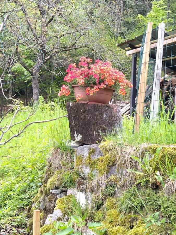 Chalet Tessa Беладжо Екстериор снимка